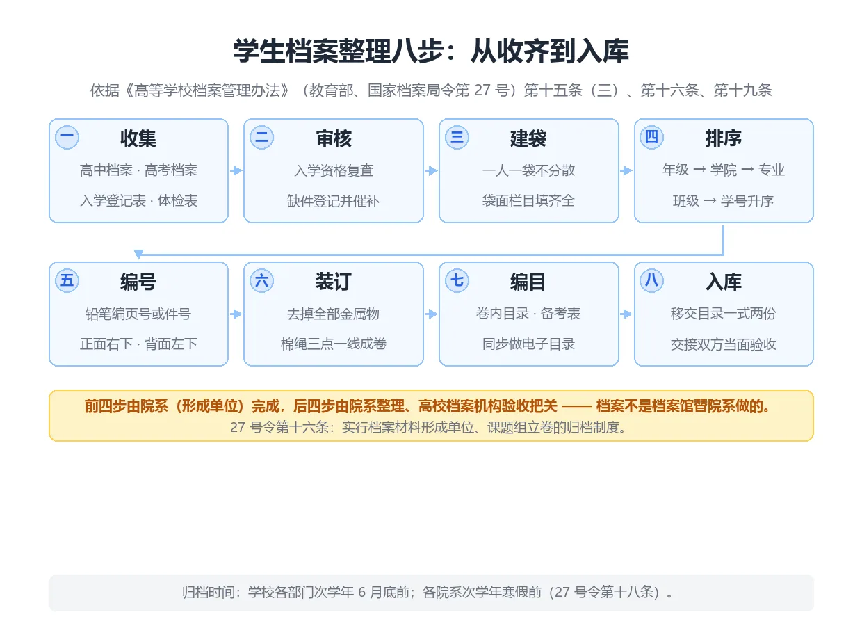 学生档案整理八步流程图：收集、审核、建袋、排序、编号、装订、编目、入库